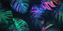 Generative AI Illustration Of Neon Monstera Deliciosa Leaves Growing In Tropical Forest For Creative Design Elements