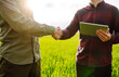 © maxbelchenko - Farmers using touch pad for check wheat quality in the field.Two farmers making agreement with handshake in green wheat field. The concept of the agricultural business. Negotiations.