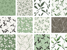 Seamless Floral Patterns With Flowers And Leaves. Set Of Seamless Floral Backgrounds In Natural Green, Beige, And White Colors. Vector Seamless Prints