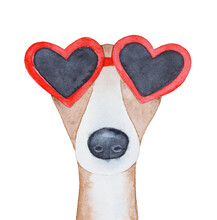 Watercolour Illustration Of Elegant Whippet Dog Wearing Heart-shaped Sunglasses In Bright Red Color. Hand Painted Water Colour Graphic Drawing On White Background, Cut Out Clipart Element For Design.