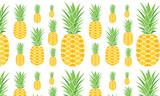 Pineapple Texture Illustration Vector Image Isolated on White