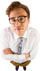 Sticker - Young geeky businessman looking at camera