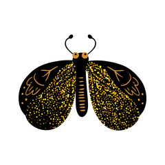 Wall Mural - black and gold glitter moth butterfly, celestial vector fairy insect illustration