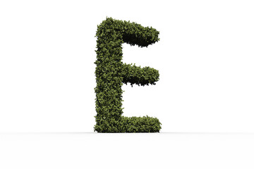 letter e made of leaves