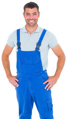 Wall Mural - Portrait of happy repairman in overalls