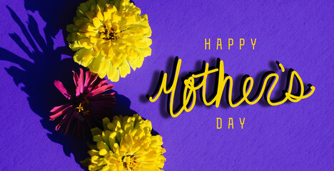 Wall Mural - Zinnia flower heads on purple background with happy mothers day greeting for holiday.
