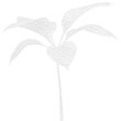 Digital composite image of plant