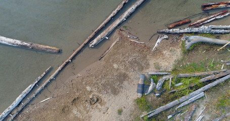 Sticker - High angle view of logs and driftwood