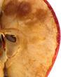 Close-up of apple rotting 
