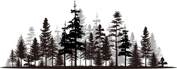 pine tree panorama vector illustration set. black silhouette landscape.