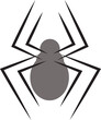 Computer generated image of spider