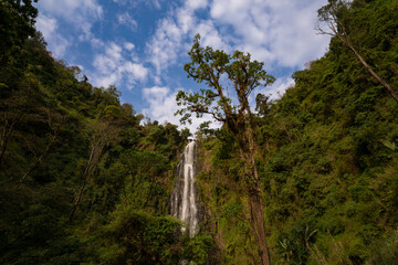 a waterfall in tanzania