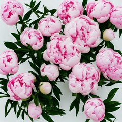 Bouquet of peonies. Spring flowers. Generative AI.