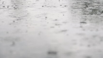 Wall Mural - Slow motion closeup of rain drops falling into puddles on asphalt focus pull