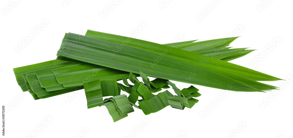 pandan leaf on transparent png