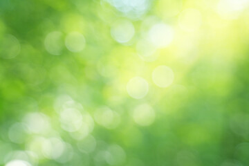 green bokeh nature background.