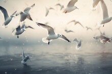  A Flock Of Seagulls Flying Over The Ocean On A Foggy Day.  Generative Ai