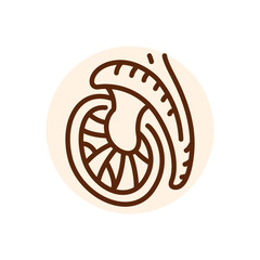 Testicle black line icon. Fertilization.
