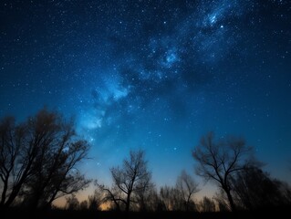 Wall Mural - Milky Way and silhouette of trees