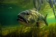largemouth bass underwater among snags generated by AI