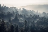 Fototapeta Las - pine forest in the mountains, blanketed in morning mist. The trees rise tall and straight, with their branches covered in needles that are tinged with dew Generative AI