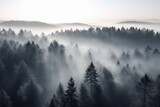 Fototapeta Las - pine forest in the mountains, blanketed in morning mist. The trees rise tall and straight, with their branches covered in needles that are tinged with dew Generative AI