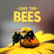 save the bees, with bee gathering pollen on yellow flower, made with generative ai