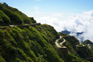 Wall Mural - Zig Zag Road bends in Silk Route East Sikkim with Green nature in Background