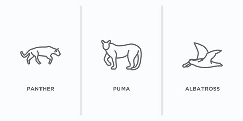 Wall Mural - animals outline icons set. thin line icons such as panther, puma, albatross vector. linear icon sheet can be used web and mobile