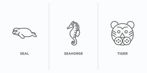 Wall Mural - animals outline icons set. thin line icons such as seal, seahorse, tiger vector. linear icon sheet can be used web and mobile