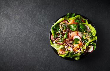 Wall Mural - Salmon salad with leaf vegetables, radishes and sprouts