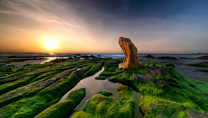 Wall Mural - the stones in the Co Thach coast were fully covered with moss and seaweed. That coast is located in Tuy Phong, Binh Thuan province, Vietnam