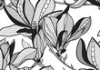 seamless lace pattern, vector illustration, magnolia flowers