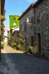 Wall Mural - View of Frontino's village in the Italian region of Marche.