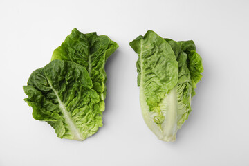 Fresh green romaine lettuce and leaves isolated on white, top view