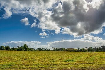 Wall Mural - Beautiful countryside of Queensland - Australia