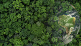 Fototapeta Uliczki - Aerial top view green forest with globe earth, Green planet in your hands, Save Earth, Texture of forest view from above ecosystem and healthy environment, Globe and forest.