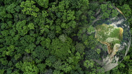 aerial top view green forest with globe earth, green planet in your hands, save earth, texture of fo