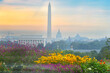 Washington D.C. skyline at sunrise with major monuments and spring flowers in view - Washington D.C. United States of America	