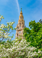 Wall Mural - Vienna City Hall tower in spring, Austria