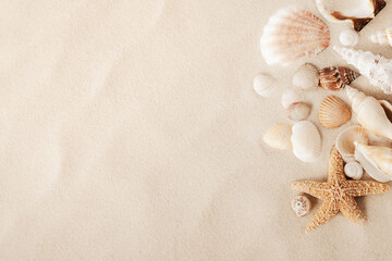 Wall Mural - Sandy beach with collections of white and beige seashells and starfish as natural textured background for summer travel design