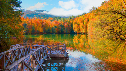 Fototapete - Autumn forest landscape reflection on the water with wooden pier - Autumn landscape in (seven lakes) Yedigoller Park Bolu, Turkey