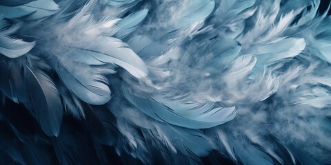 feather backgrounds