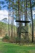 A wooden observation or hunting tower in the forest against a backdrop of trees and blue sky