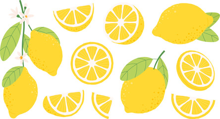 Poster - Isolated lemon fruits, different citrus half and slices. Yellow fruit for lemonade, cartoon fresh and organic juicy raw ingredients racy vector set
