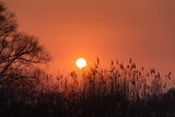 Fototapeta  - Zachód słońca nad rzeką Odrą / Sunset over the Oder River