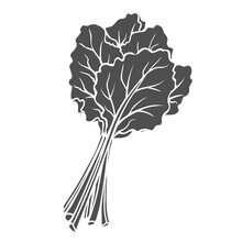 Rhubarb Glyph Icon Vector Illustration. Stamp Of Summer Plant With Leaf On Ripe Stem, Bunch Of Spring Garden Leaves With Stalks Of Strawberry Flavor For Cooking Sweet Pie, Rhubarb Tart And Cake