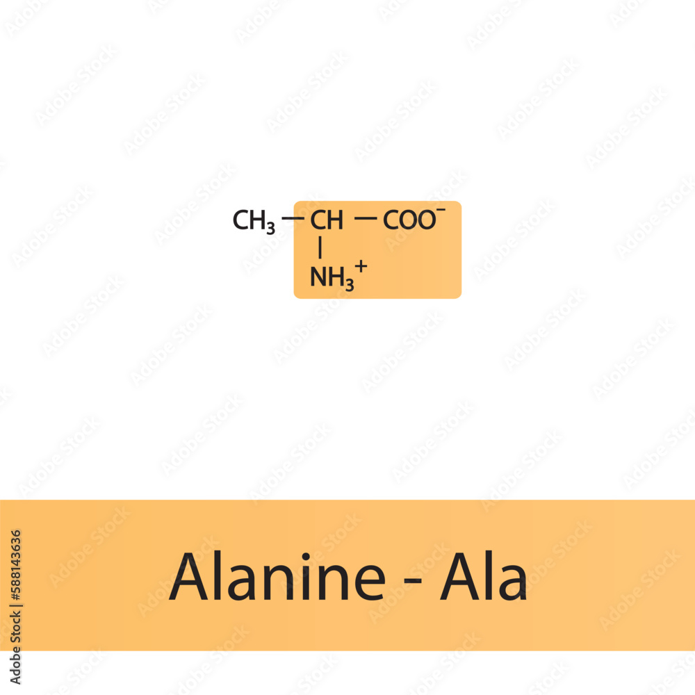 Alanine - Ala - A amino acid structure. Skeletal formula with amino ...