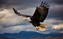 Bald Eagle Soaring In The Sky With Wings Spread Wide. The Background Is Mountain. Generative AI