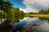 Fototapeta  - Stare zakole Odry  / The old bend of the Oder River